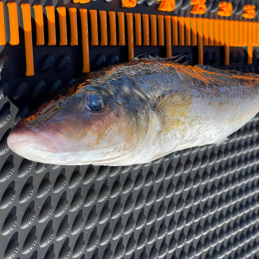 This Is Livin' Filleting Mat